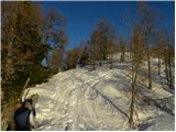 Planina Zajavornik - Debeli vrh nad Lipanco